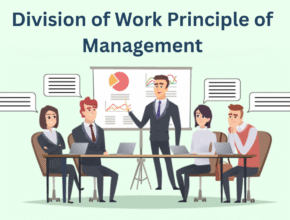 Division of Work Principle of Management
