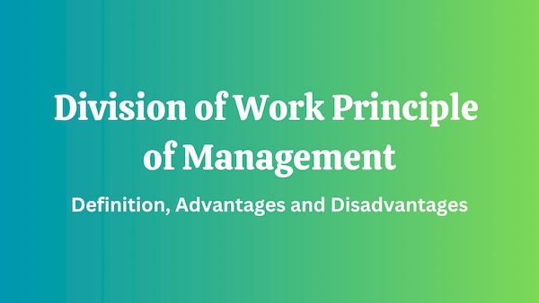 division of work principle of management