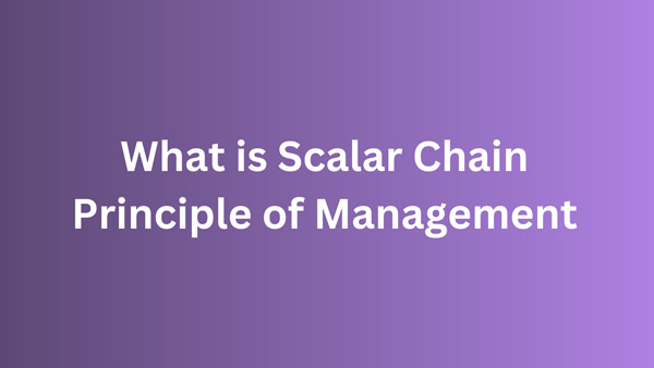 What is the Scalar Chain Principle of Management?