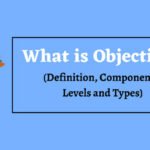 What is Objective