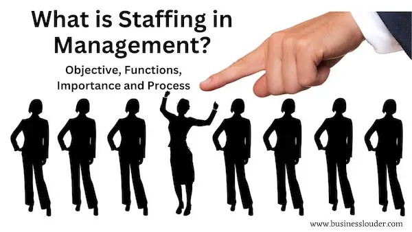 what is staffing in management