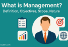 What is Management