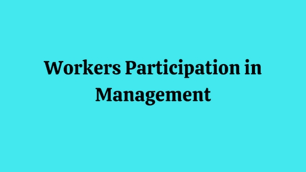 workers participation in management