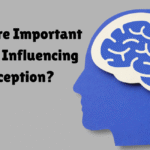 important Factors Influencing Perception
