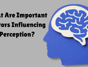 important Factors Influencing Perception