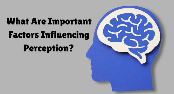 important Factors Influencing Perception