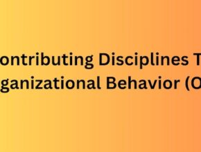 challenges and opportunities of organizational behavior