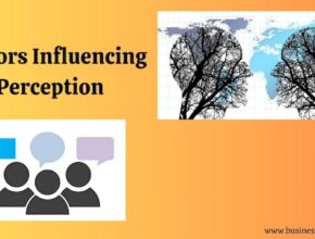 factors Influencing perception