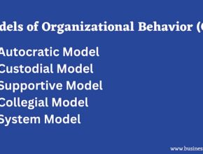 models of organizational behavior