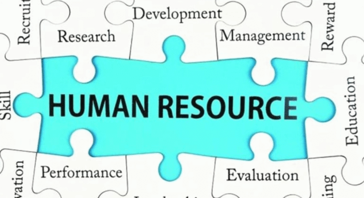 What Is Human Resource Development
