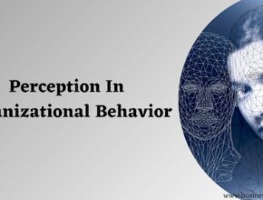 Perception in Organizational Behavior