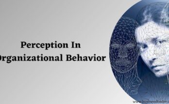Perception in Organizational Behavior