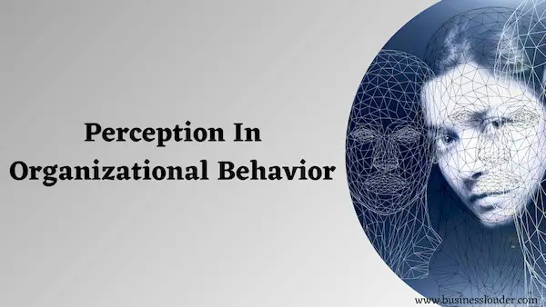 Perception in Organizational Behavior