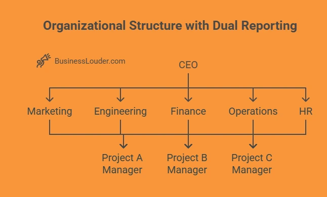 Matrix Structure Diagram
